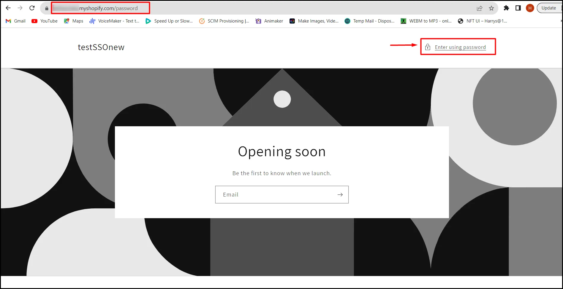 enter-using-password-in-shopify