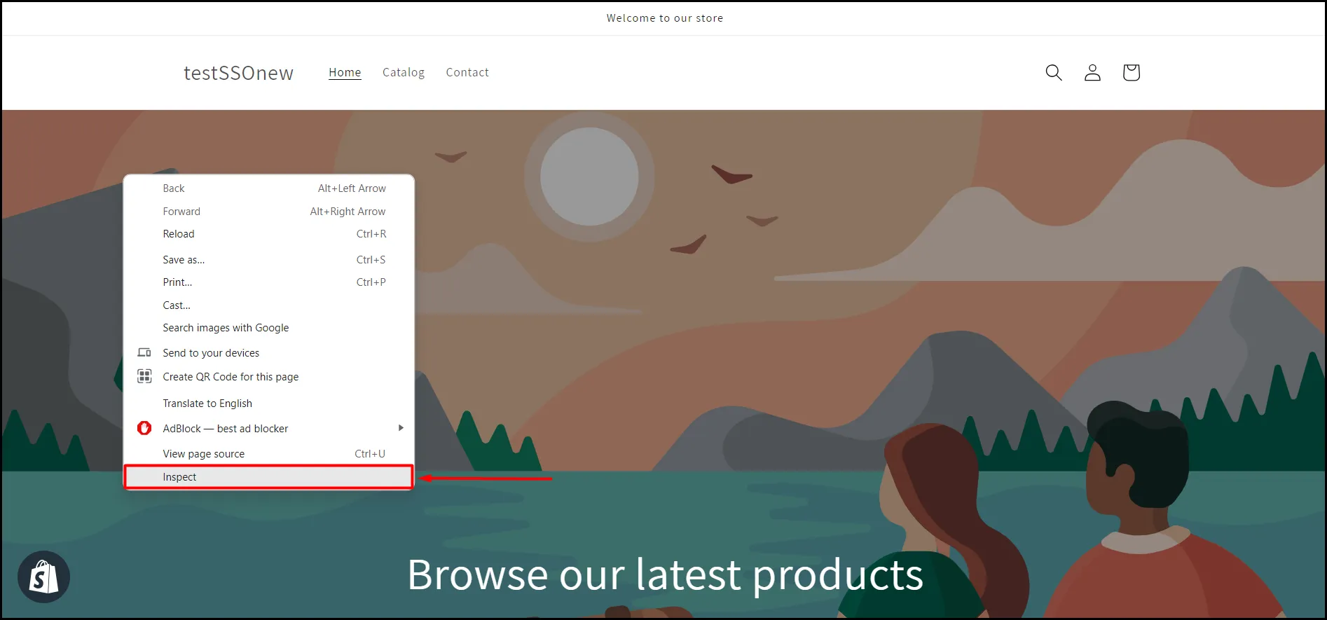 shopify-store-inspect-option